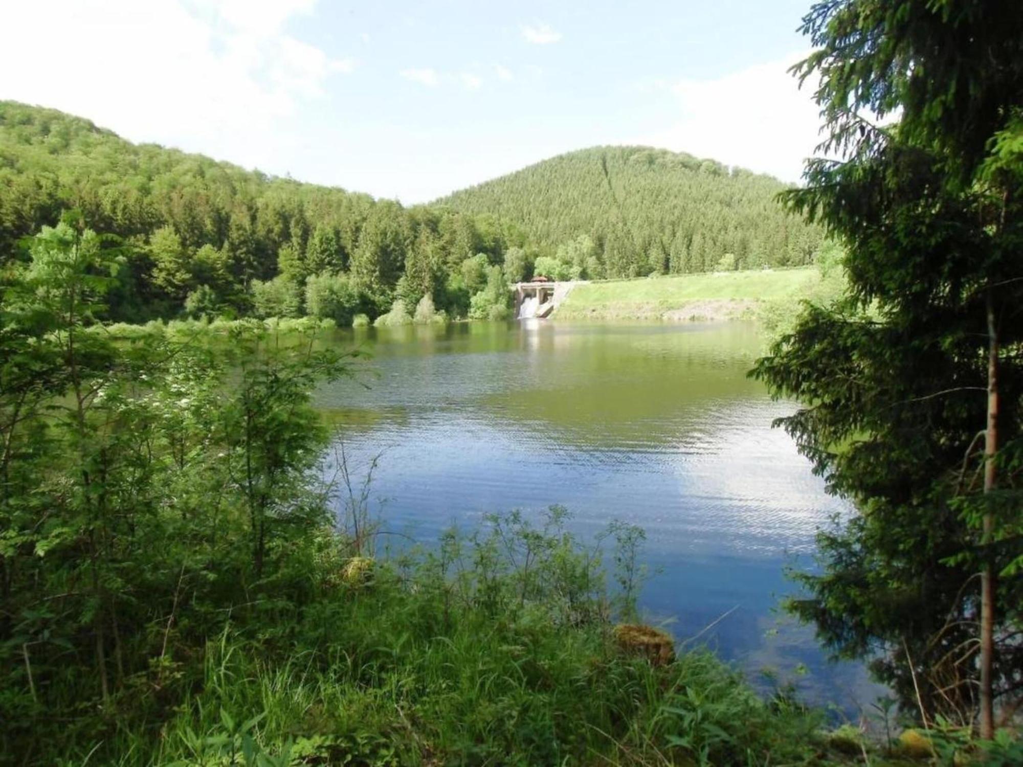 Detached Holiday Residence In The Wonderfully Beautiful Harz Kamschlacken Luaran gambar