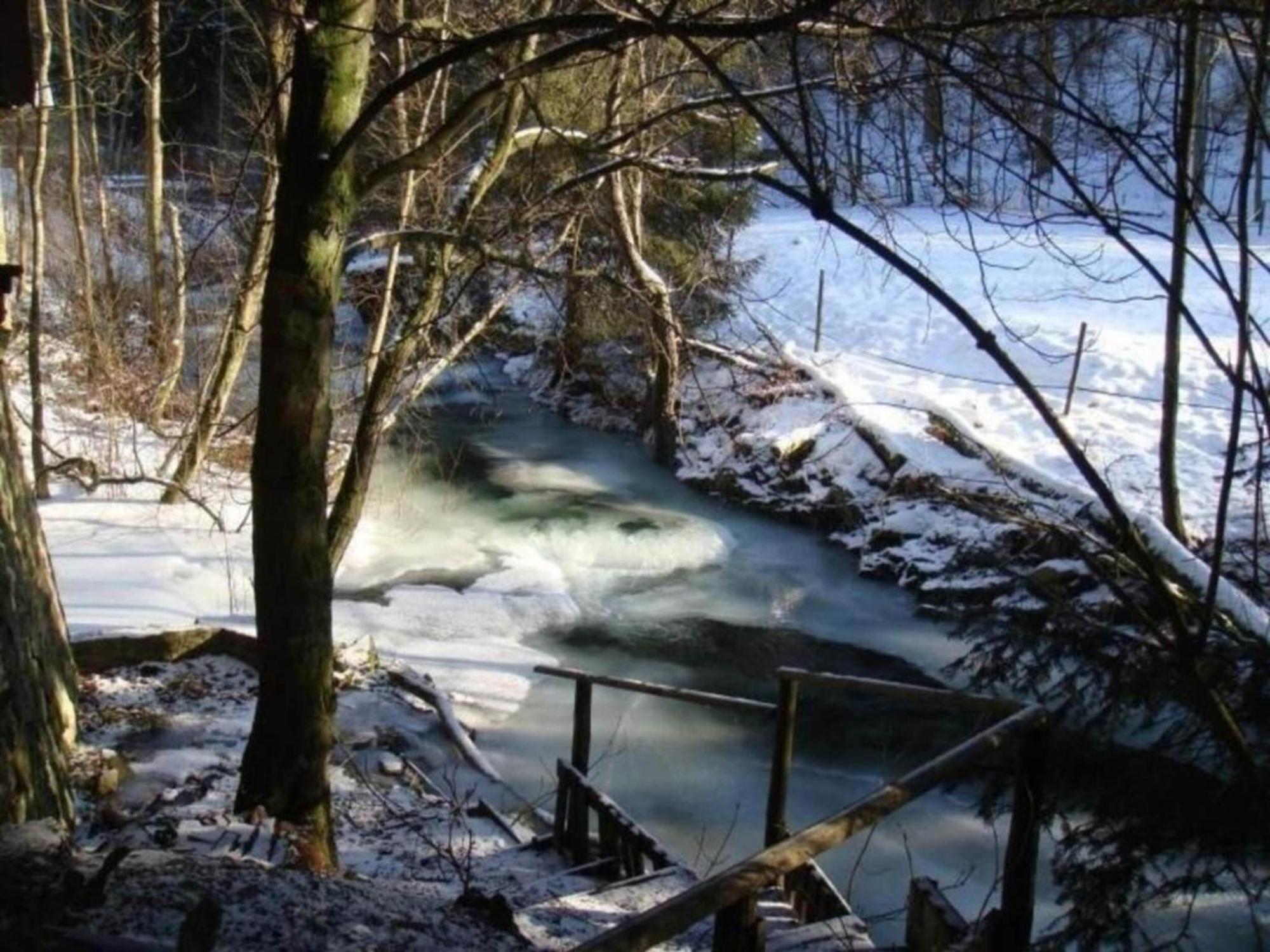 Detached Holiday Residence In The Wonderfully Beautiful Harz Kamschlacken Luaran gambar