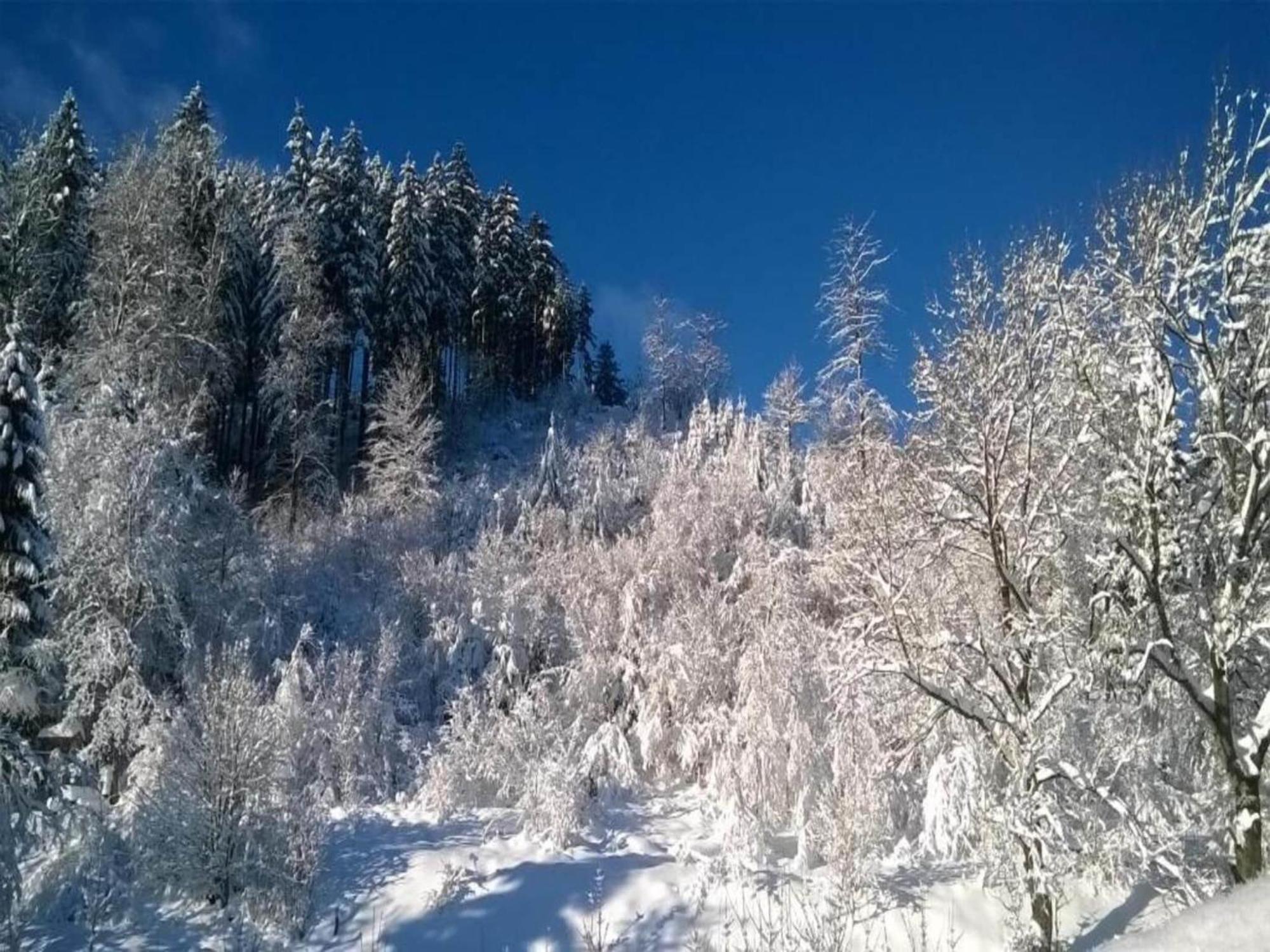 Detached Holiday Residence In The Wonderfully Beautiful Harz Kamschlacken Luaran gambar